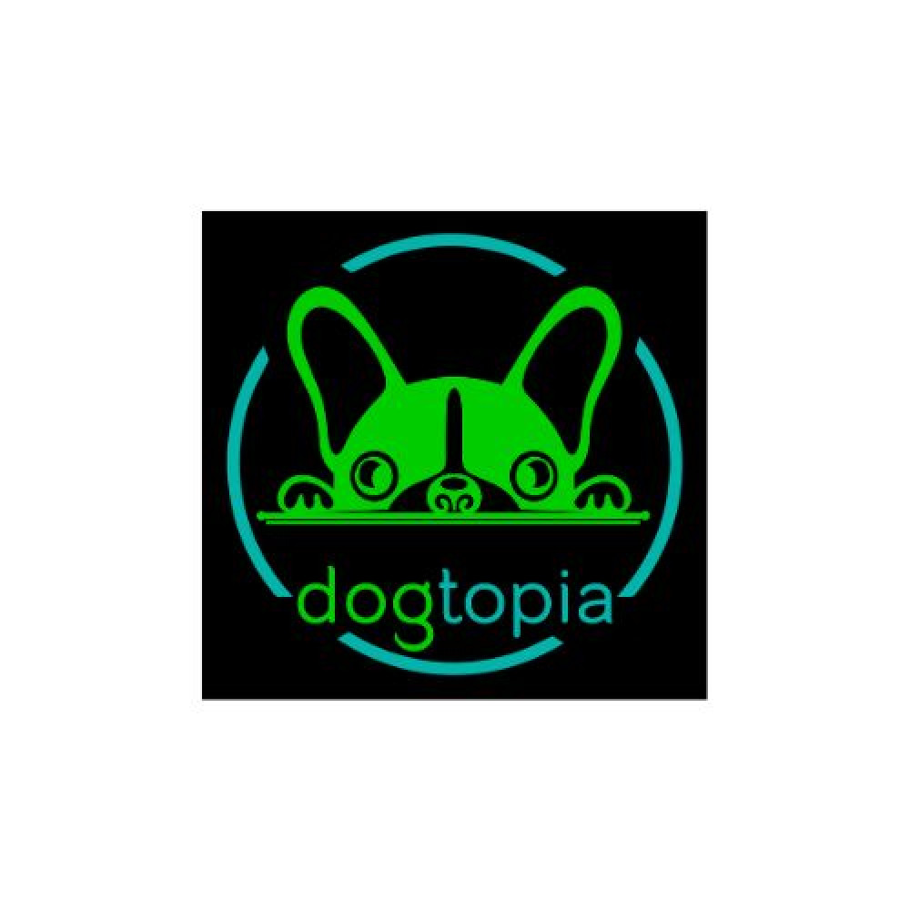 Dogtopia Doggie Daycare & Hotel