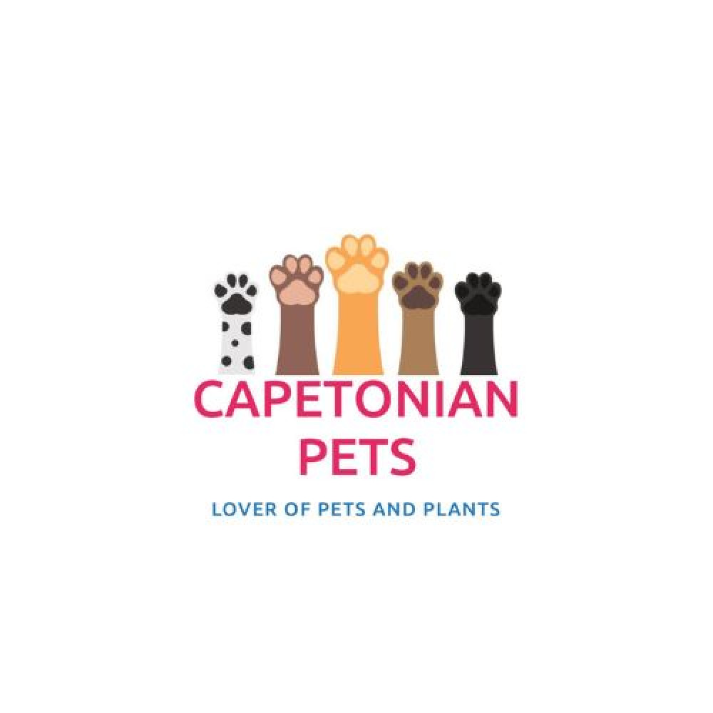 Capetonian Pets