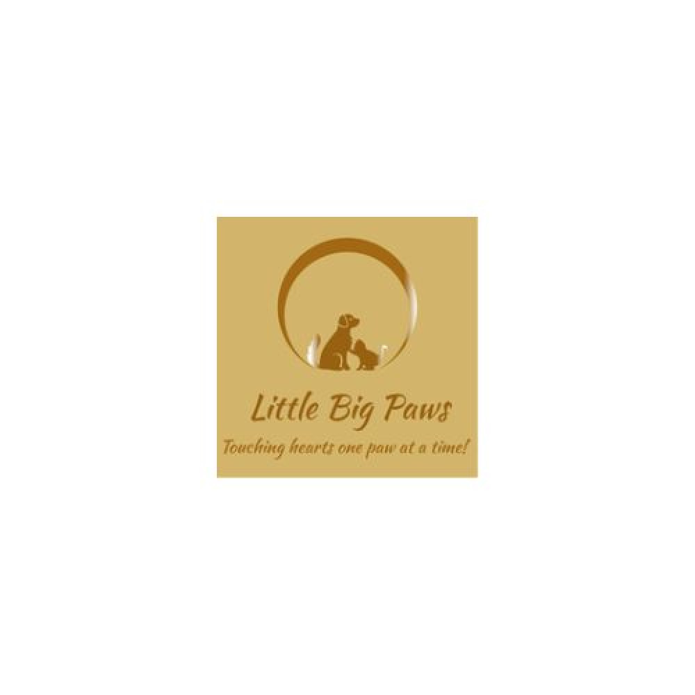 Little Big Paws Pet Services