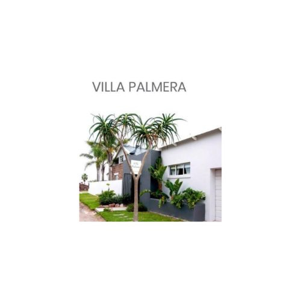 Villa Palmera