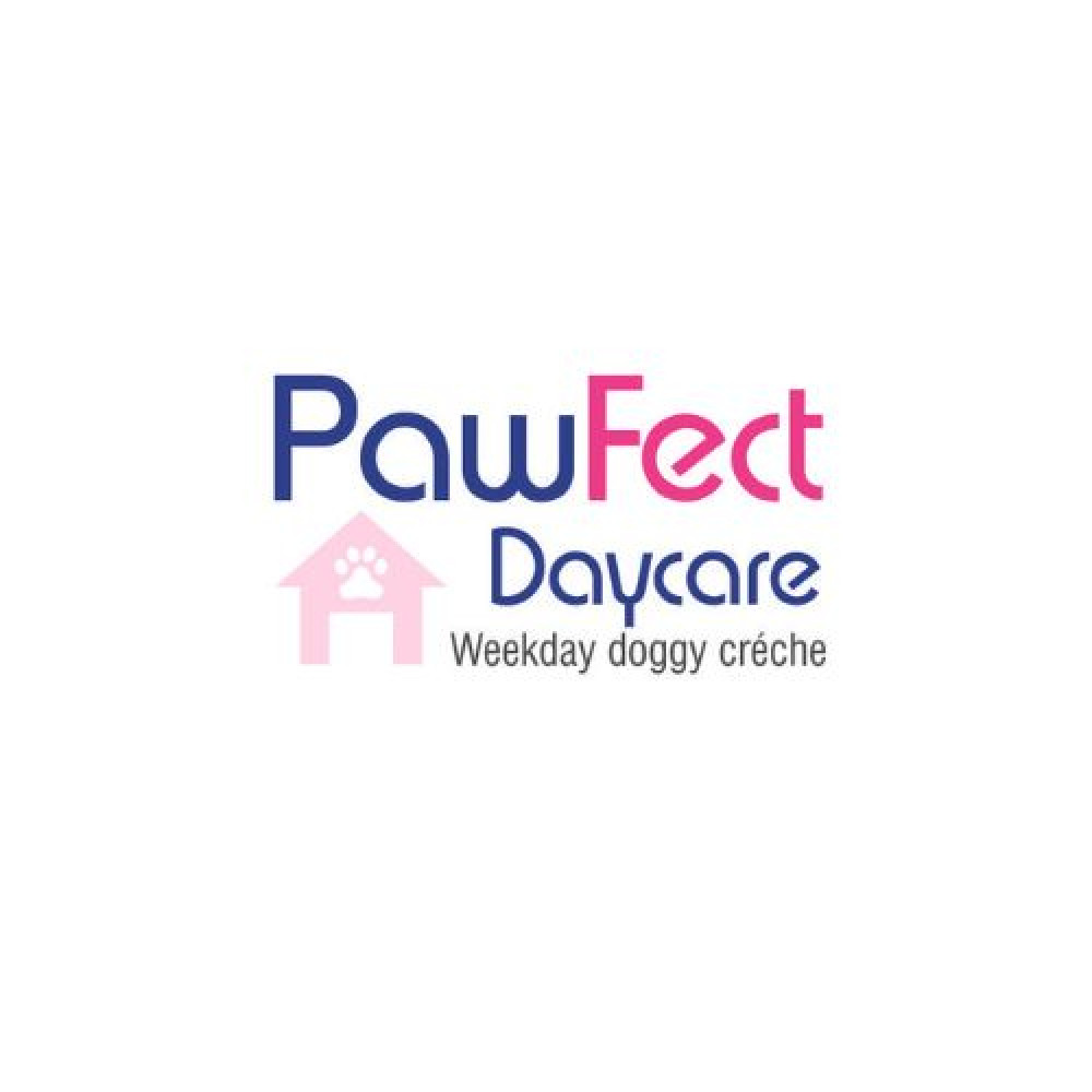 PawFect Daycare