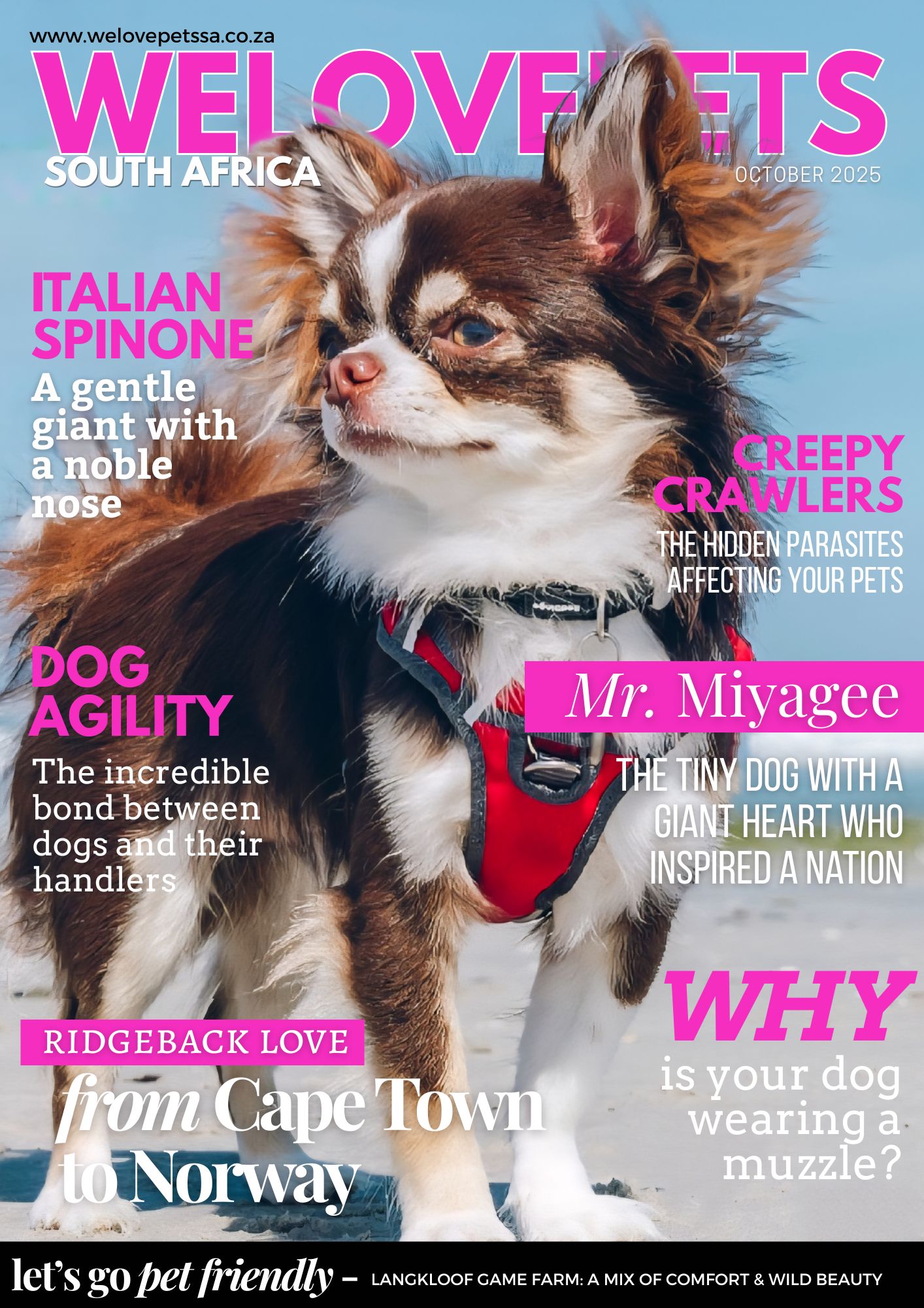 October 2025 We Love Pets SA Magazine