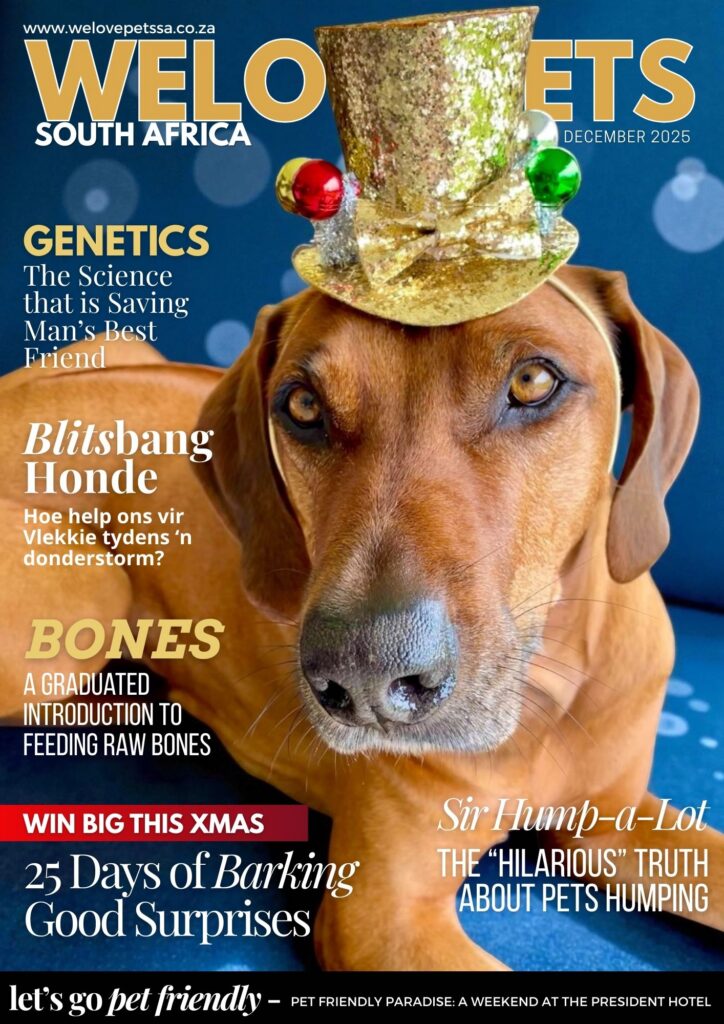 December 2025 Magazine