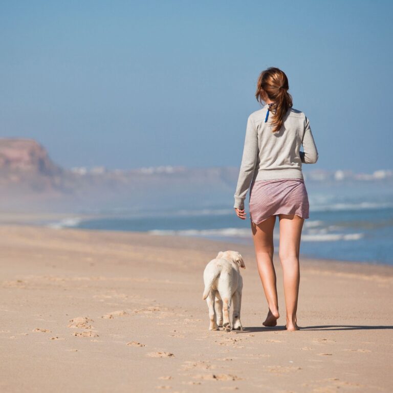 pet owner walking on beach with dog
