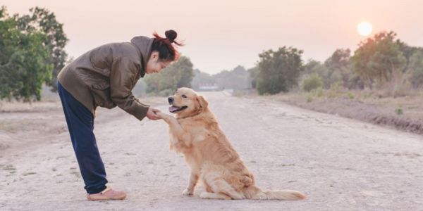 Pet owner with their dog