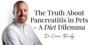 Dr Conor Brady pancreatitis in pets