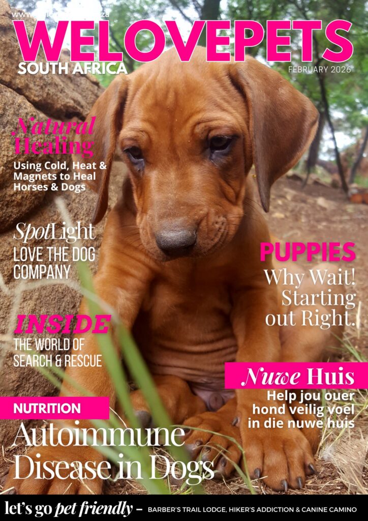 February 2026 Magazine