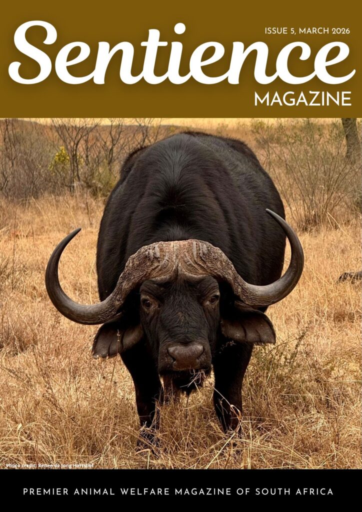 Sentience Animal Welfare Magazine Issue 5