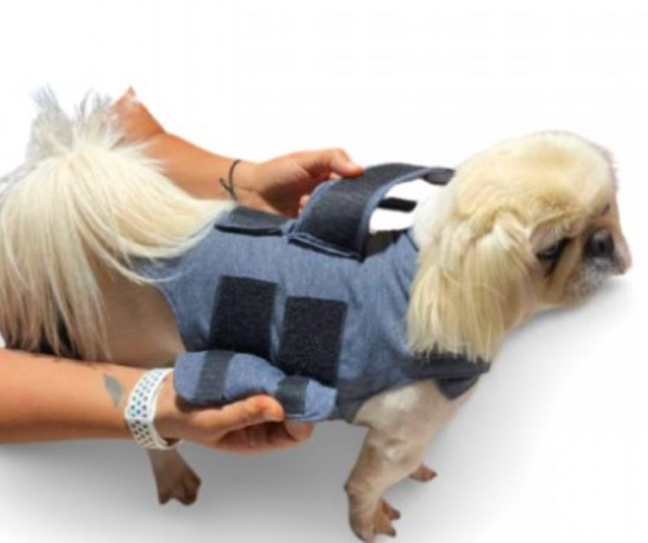 Thunder wrap or calming shirt