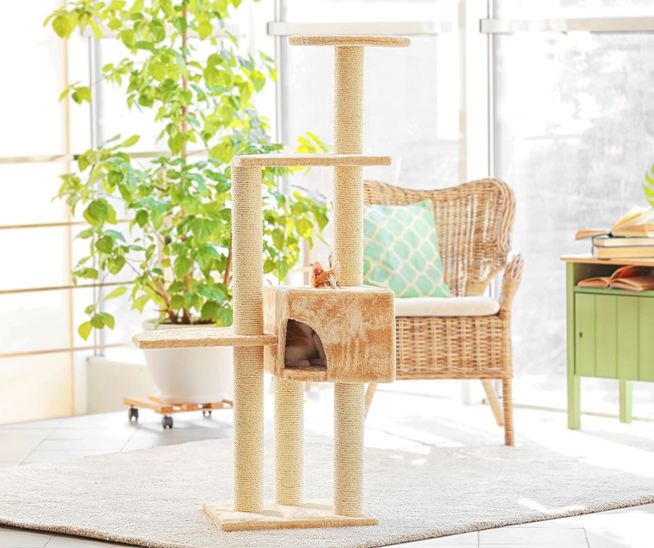 multi level cat tree