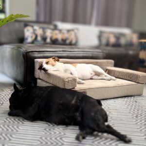 Noble Companion & Co couch