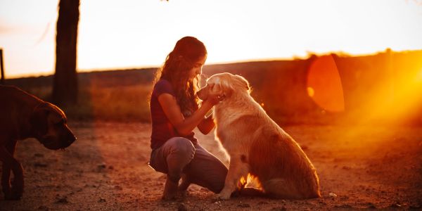 estate planning for your pets