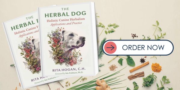 The Herbal Dog book order now