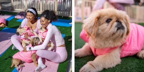 first for women pet insurance