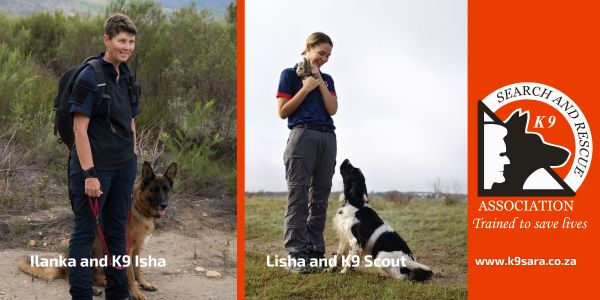 Training search and rescue dogs
