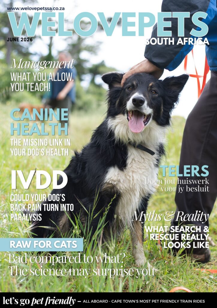 We Love Pets SA Pet Magazine June 2026