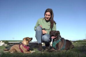 Happypaws, Keelan Stanley Nel, Dog Trainer and Behaviourist