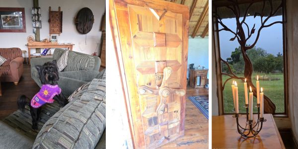 Antbear Eco Lodge Pet Friendly Drakensberg accommodation