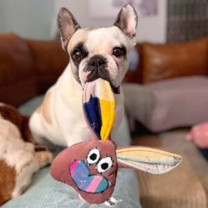 Cute dog holding a Lewis Fugly Friend toy