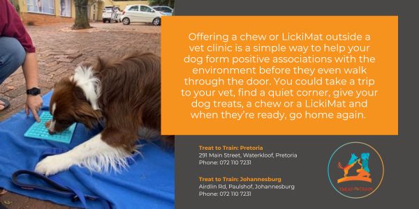 Training a dog with a LickiMat