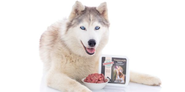 husky with a bowl of pawsome raw food
