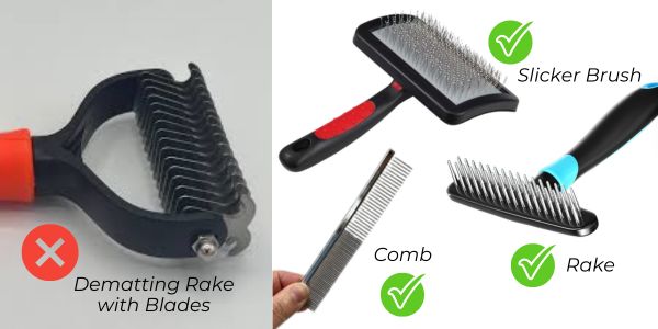 Different grooming tools
