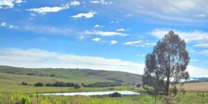 Highlands Corner Dog Friendly Dullstroom