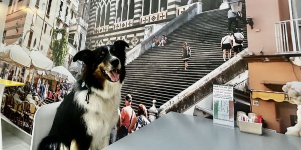 Super sconto deli and restaurant is dog friendly