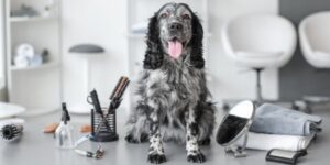 Dog Grooming Tips