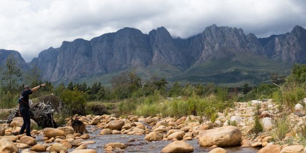 K9SARA search and rescue in the Western Cape
