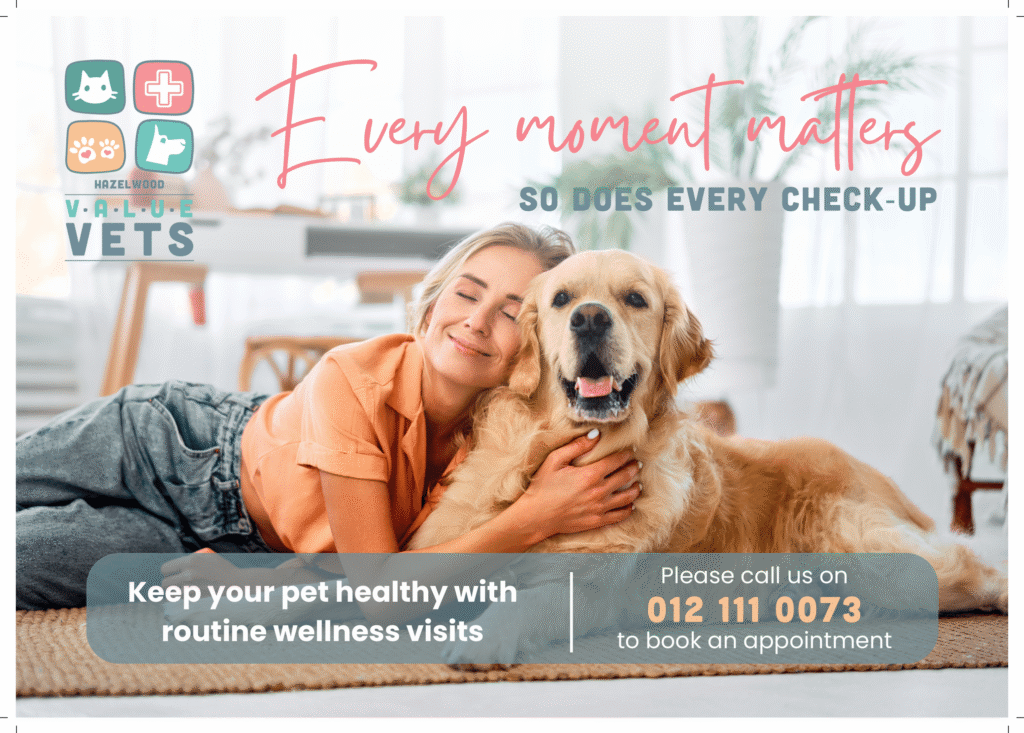 Value Veterinary Clinic in Hazelwood Pretoria