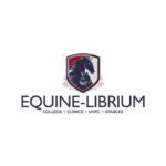 equine-librium veterinary physiotherapy