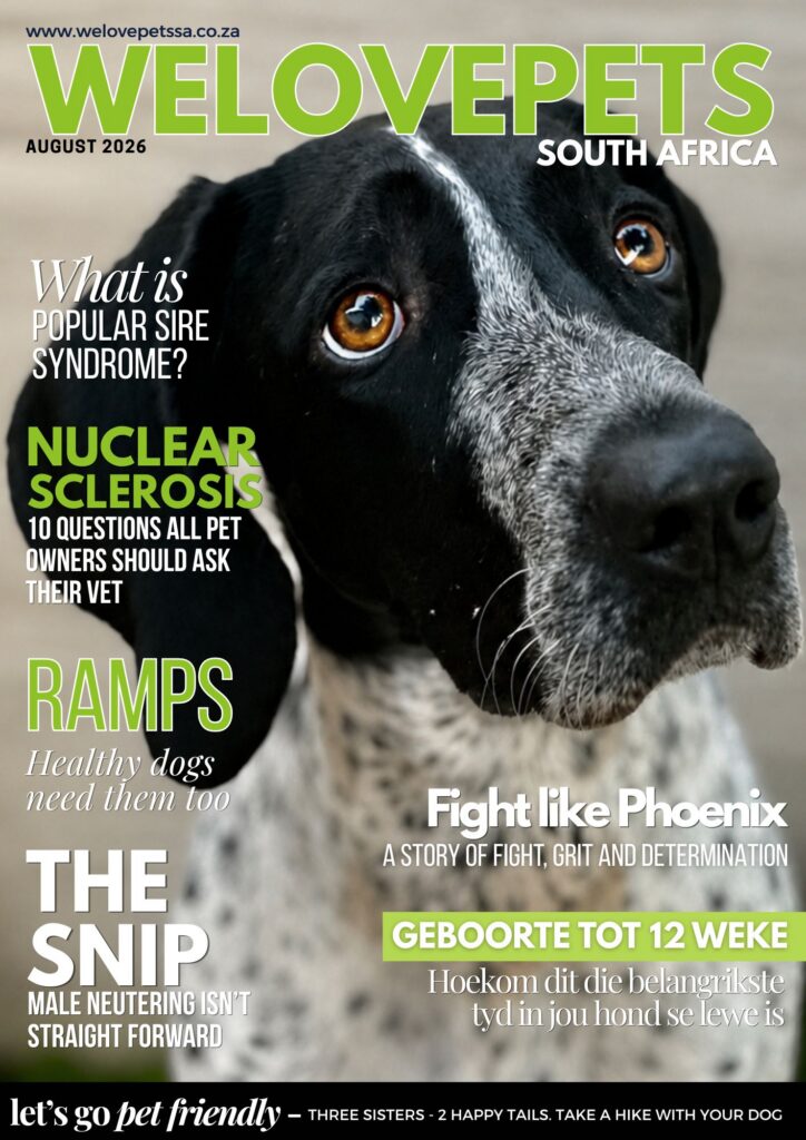 August Magazine We Love Pets SA