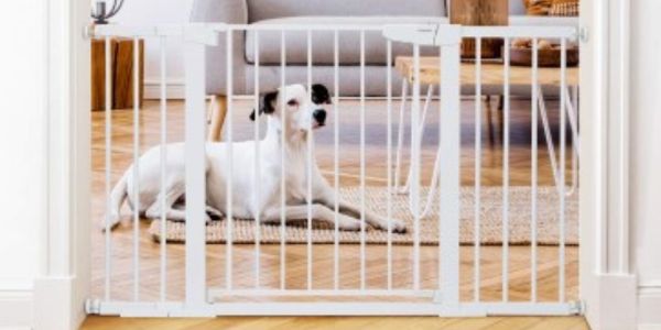 use baby gates to introduce pets