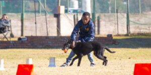 SA youngest dog sport handler
