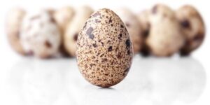 quail eggs