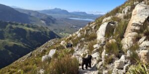 Three Sisters Trail in Kleinmond pet friendly