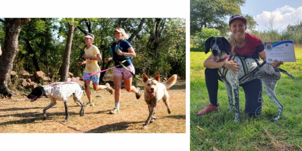 Phoenis the tripod and brother Aero running with owner