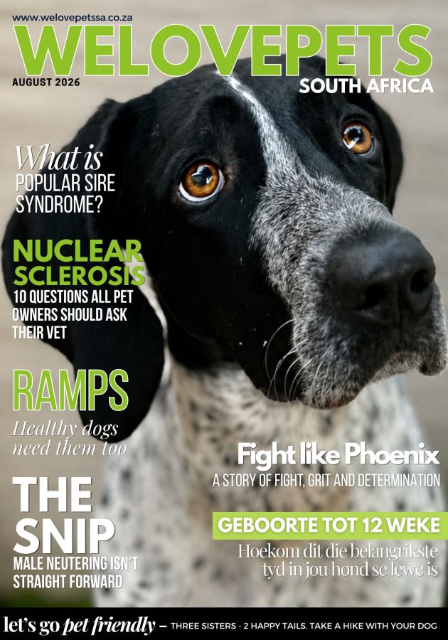 August Magazine We Love Pets SA