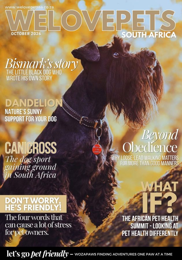 We Love Pets SA October 2026 magazine